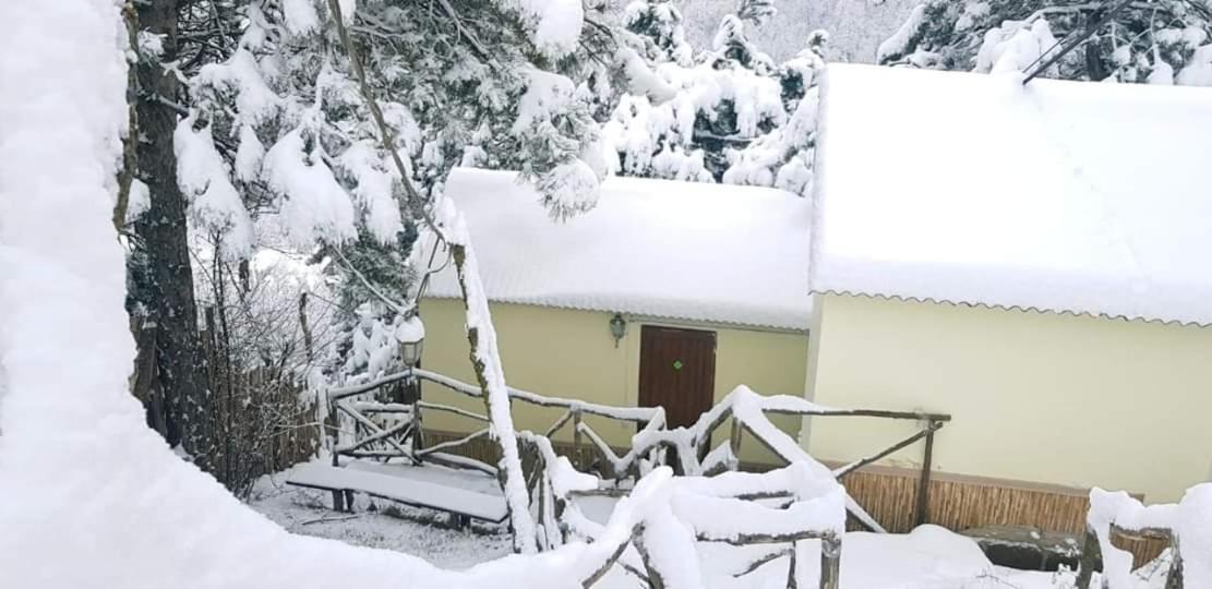 Popock Dilijan 1 Hotel Exterior photo